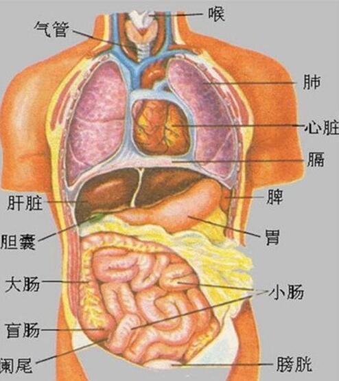 QQ截图20230207140405.jpg