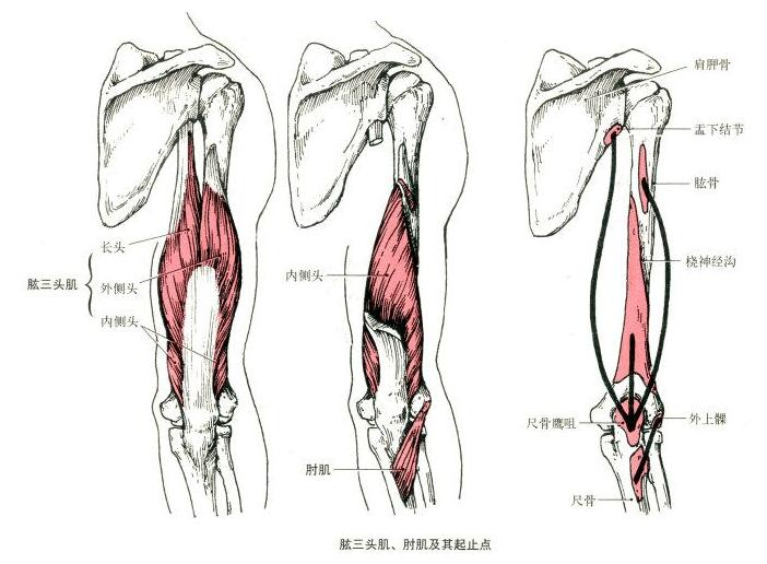 QQ截图20230224160934.jpg